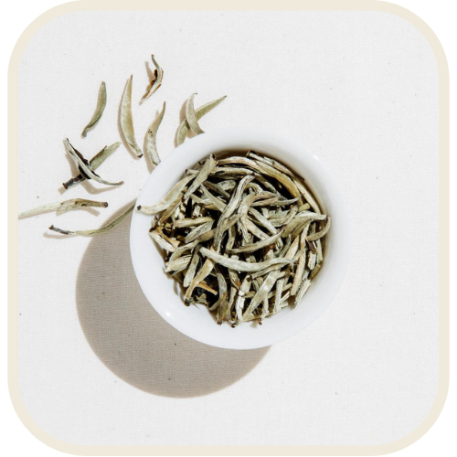 Jasmin Silver Needles - Zilvernaalden