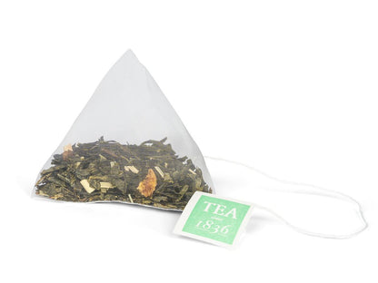 Citroen Groen / Sencha Lemon - 50 theebuiltjes