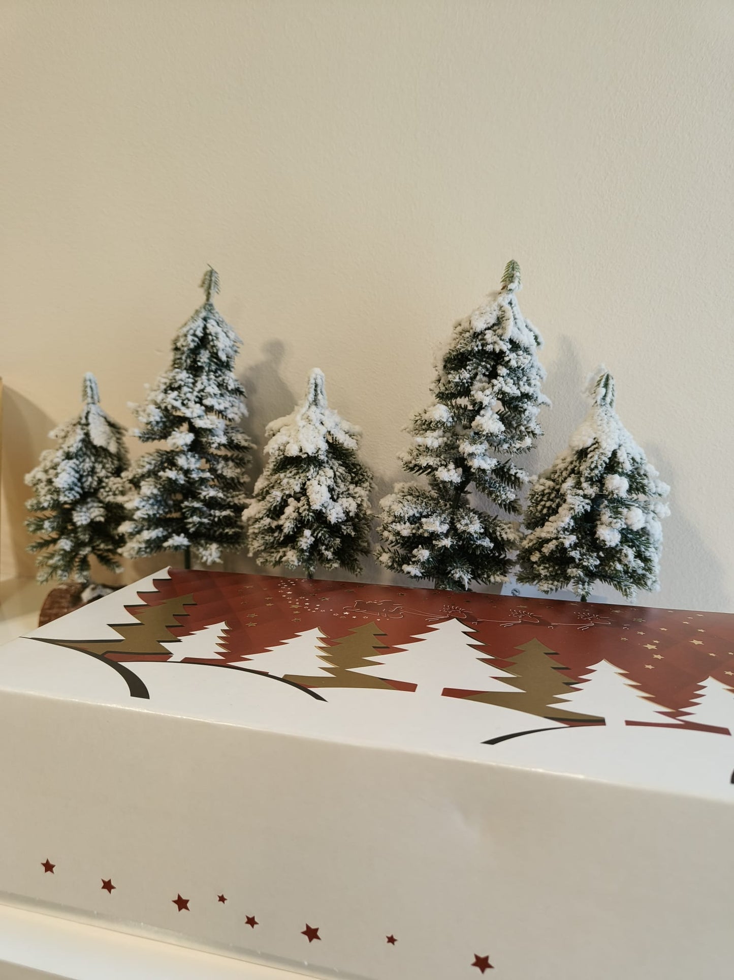 Ontdekkingsbox kerstthees